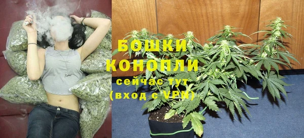 трава Балахна