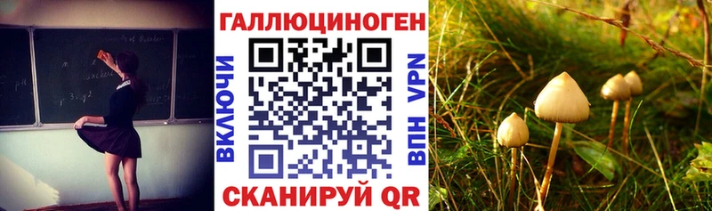 цены наркотик  Нязепетровск  Псилоцибиновые грибы мицелий 